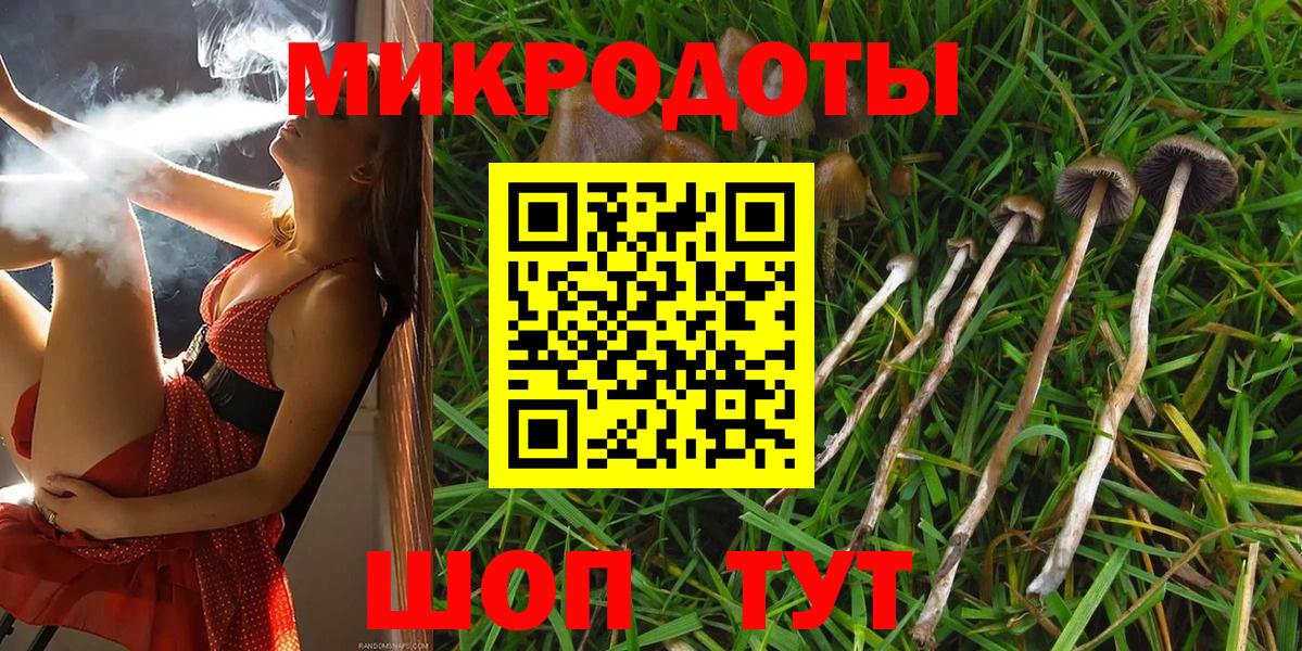 Гулькевичи  Галлюциногенные грибы прущие грибы  Вход с VPN 