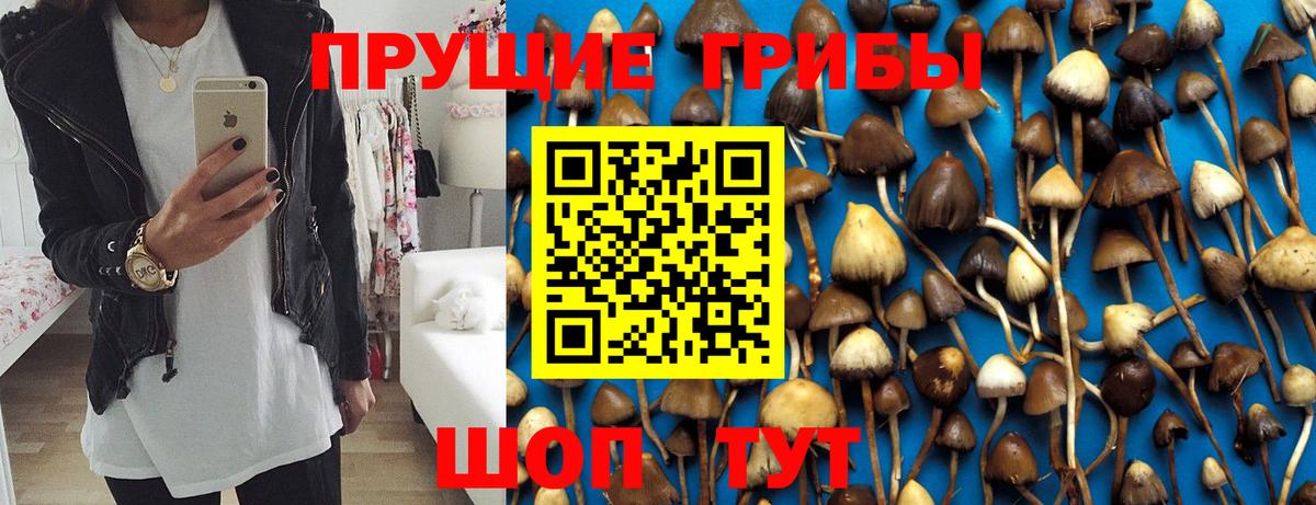 Псилоцибиновые грибы ЛСД Гулькевичи